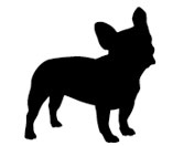 天国へ行った愛犬「ももちゃん」